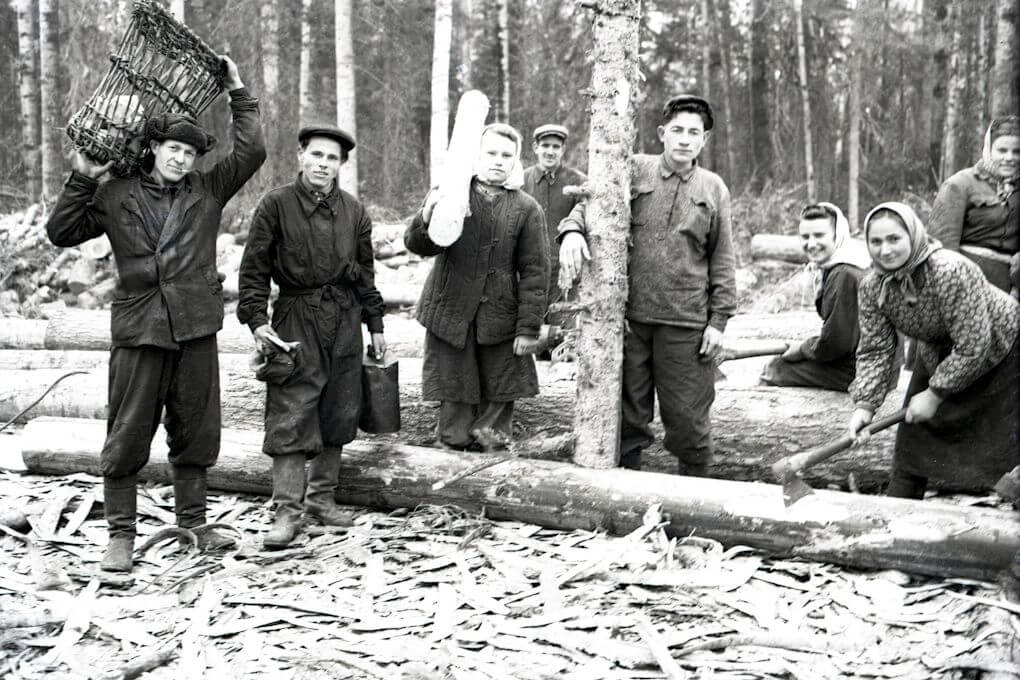 Virtuali paroda „1951 m. trėmimo operacija „Ruduo“, tremtiniai dirba miške
